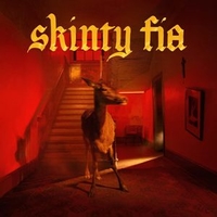 Skinty fia - FONTAINES D.C.