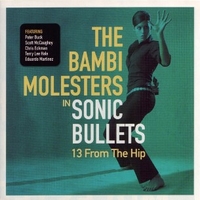 Sonic bullets, 13 from the hip - The BAMBI MOLESTERS
