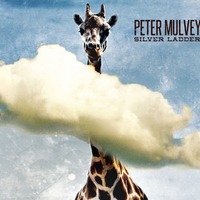 Silver ladder - PETER MULVEY