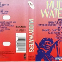 Muddy Waters (best of) - MUDDY WATERS