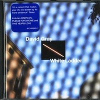 White ladder - DAVID GRAY