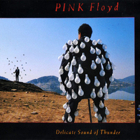 Delicate sound of thunder - PINK FLOYD
