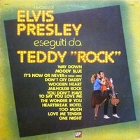 I successi di Elvis Presley eseguiti da Teddy Rock volume 2 - TEDDY ROCK \ Elvis Presley tribute