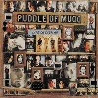 Life in display - PUDDLE OF MUD