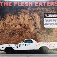 I used to be pretty - FLESH EATERS
