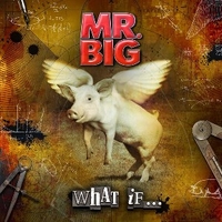 What if... - Mr.BIG