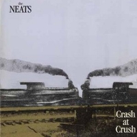 Crash at crush - NEATS