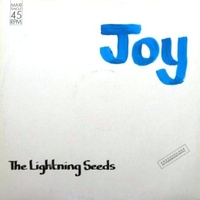 Joy \ Frenzy \ Control the flame - THE LIGHTNING SEEDS