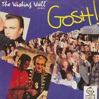 The wishing well (remix) \ The wishing well message - GOSH!