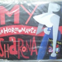 My Sharona (4 tracks) - HORMONAUTS