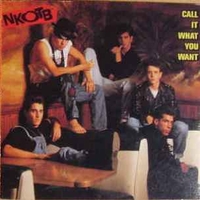 Call it what you want (the C&C pump-it mix; radio edit) (2 tracks) - NEW KIDS ON THE BLOCK
