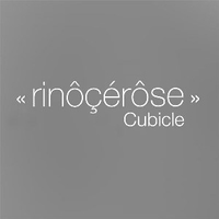 Cubicle (2 vers.) - RINOCEROSE