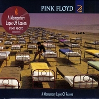 A momentary laps of reason - PINK FLOYD