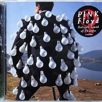Delicate sound of thunder-Live - PINK FLOYD