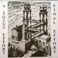 Final effort - A JOINT EFFORT