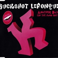 Another day (in the hood edit) (1 track) - BUCKSHOT LEFONQUE