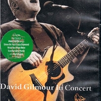 David Gilmour in concert - DAVID GILMOUR