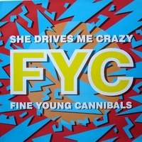 She drives me crazy - FINE YOUNG CANNIBALS