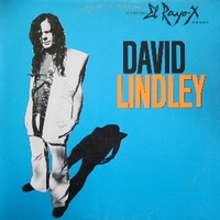 El rayo-X - DAVID LINDLEY