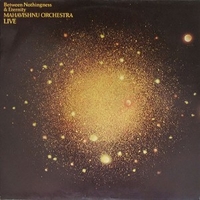 Between nothingness & eternity - Mahavishnu orchestra live - MAHAVISHNU ORCHESTRA