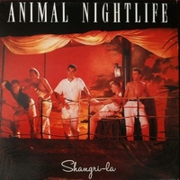 Shangri-la - ANIMAL NIGHTLIFE