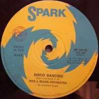 Disco dancing \ Our love concerto - RICE & BEANS ORCHESTRA