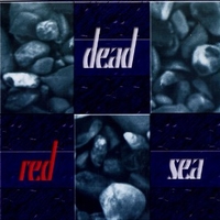 Gone \ Brightside - DEAD RED SEA