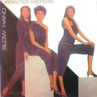 Slow hand \ Holdin' out for love - POINTER SISTERS