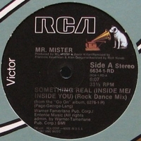 Something real (inside me/inside you)(rock dance mix) (3 tracks) - Mr.MISTER