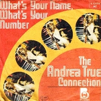 What's your name, what's your number \ Heart to heart (fill me up) - ANDREA TRUE CONNECTION