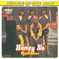 Honey no \ Union silver - MIDDLE OF THE ROAD