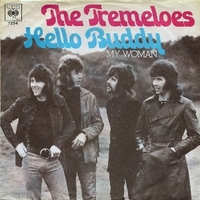 Hello Buddy \ My woman - TREMELOES