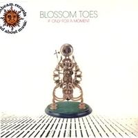 If only for a moment - BLOSSOM TOES