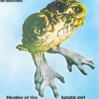 Healing of the lunatic owl - BRAINCHILD