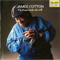 Fire down under the hill - JAMES COTTON