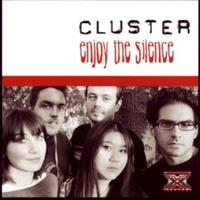Enjoy the silence - CLUSTER (IT)