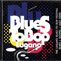 The Lugano blues to bop festival 2000 - VARIOUS