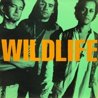 Wildlife - WILDLIFE
