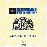 We need protection \ Little lady - PICNIC AT THE WHITEHOUSE