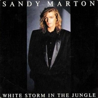 White storm in the jungle /  White storm in the jungle (Long single version) - SANDY MARTON