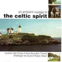An ambient voyage to the celtic spirit - VARIOUS