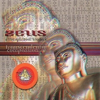 Transcendental compassion - ZEUS & The spiritual traders