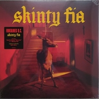 Skinty fia - FONTAINES D.C.