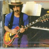 Shut up 'n play yer guitar - FRANK ZAPPA