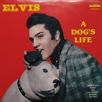 A dog's life - ELVIS PRESLEY