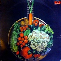 Country banjo band - BIG BEN BANJO BAND