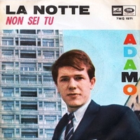 La notte \ Non sei tu - ADAMO