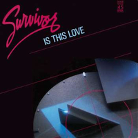 Is this love - SURVIVOR