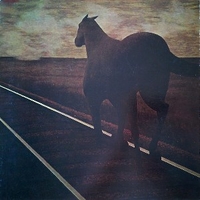 Night vision - BRUCE COCKBURN