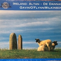 Ireland: treasures of irish music - ALTAN \ DE DANNAN \ FRANKIE GAVIN \ LIAM O'FLYNN \ DESSIE WILKINSON